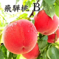 飛騨桃　B　15～16玉入り（5K箱）