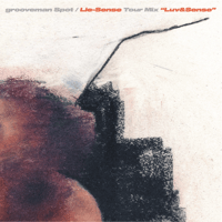 grooveman Spot / Lie-Sense Tour Mix "Luv&Sense" ※ステッカー付き
