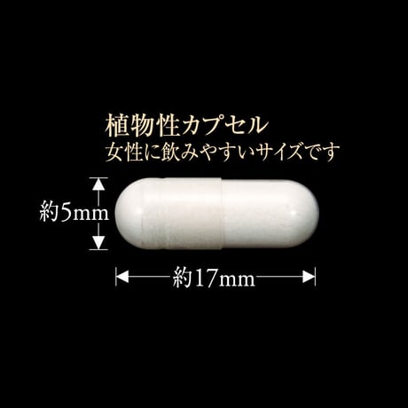 プロトングランプロ（６０粒入）