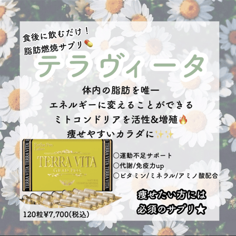 テラヴィータグランプロ（１２０粒入）