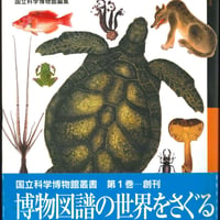 日本の博物図譜　十九世紀から現代まで
