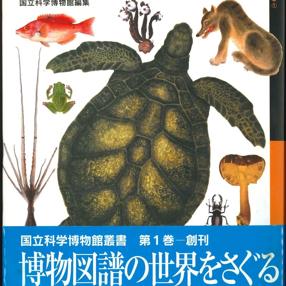 5ef45f66e50c0b293c2cf500