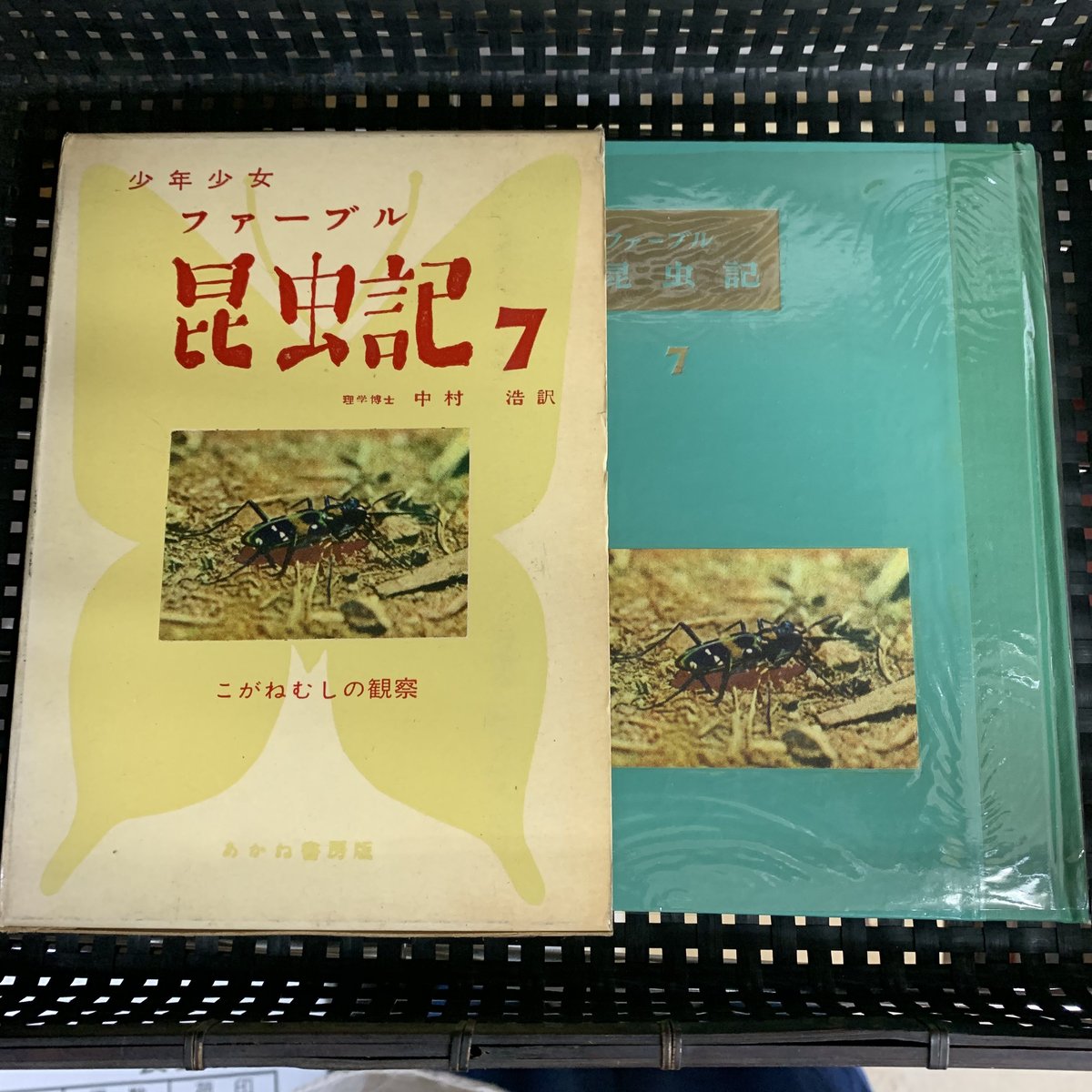ファーブル昆虫記　１〜8巻 ファーブル昆虫記 全8巻(ジャン=アンリ・ファーブル 著 奥本