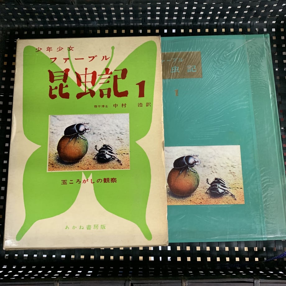 5ee89786d3f1676e65651bc2