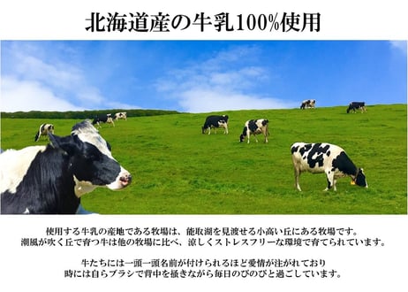 Rimoイーアス沖縄豊崎店オープン記念「世界一のジェラート（20個セット）」
