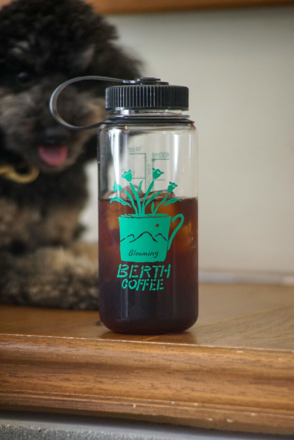 Nalgene tumbler 500ml | BERTH COFFEE ONLINE STORE