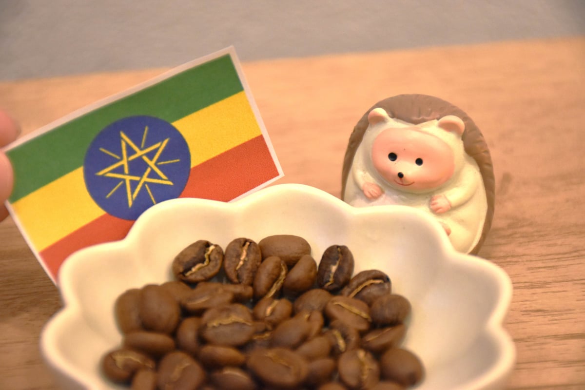 中浅煎り200g】エチオピア・モカ ウォッシュト ハイロースト Ethiopia