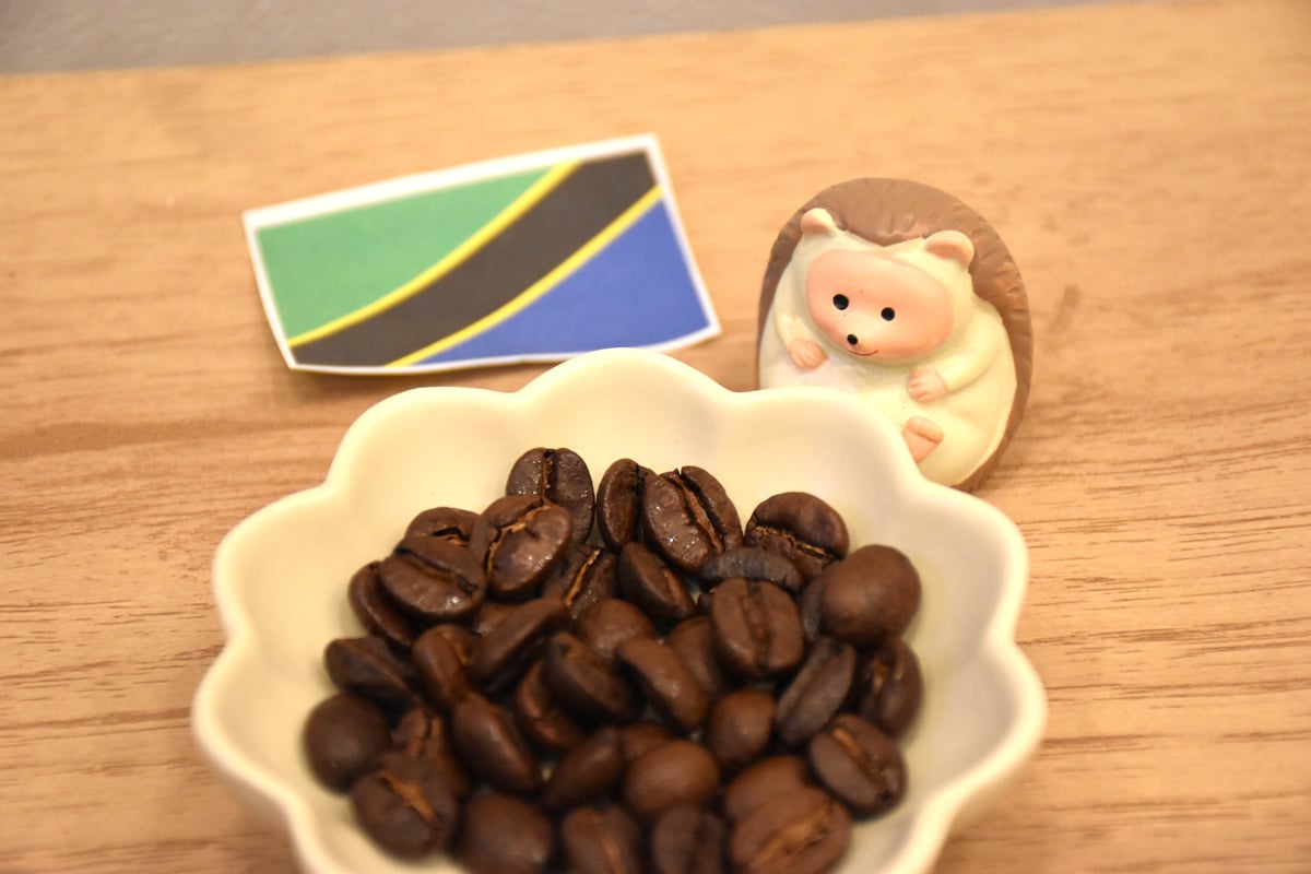 中深煎り100g】タンザニア キリマンジャロ ウォッシュト