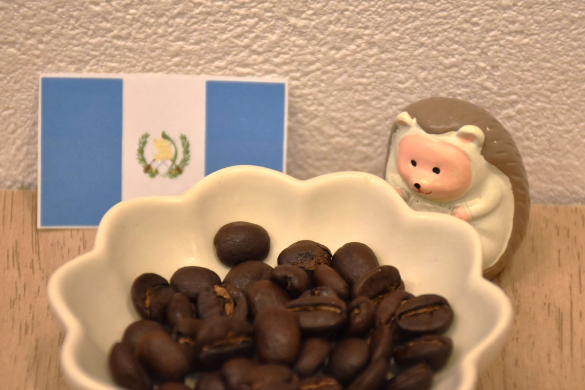 送料無料【中深煎り200g】グアテマラ ウォッシュト Guatemala | まる