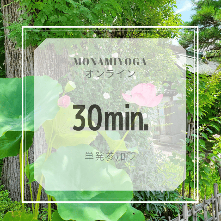5f6ea6a38f2ebd607c0a30c0