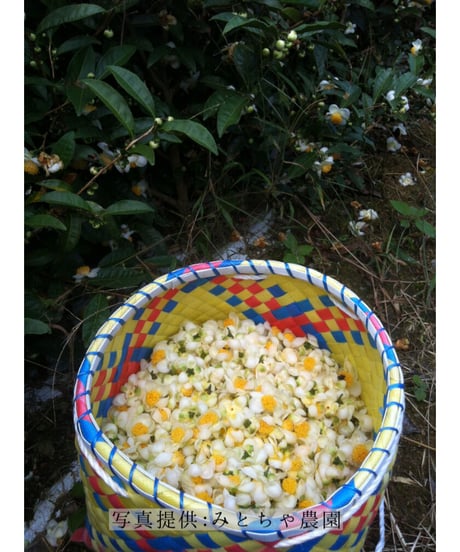 天日干し釜炒り花茶【無農薬栽培・奈良みとちゃ農園】40ｇ
