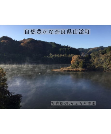 天日干し釜炒り花茶【無農薬栽培・奈良みとちゃ農園】40ｇ