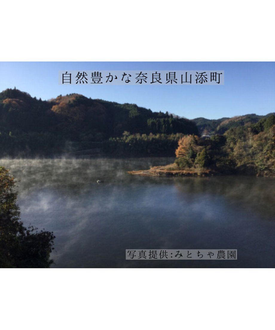 5f6e291e8f2ebd607c0a2b64