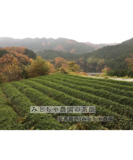 天日干し釜炒り花茶【無農薬栽培・奈良みとちゃ農園】40ｇ