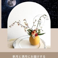 花にんき　2001年〜2005年　16冊セット販売 まとめ売り　✨即購入ＯＫ✨ 花にんき 2001年〜2005年 16冊セット販売 まとめ売り ✨即