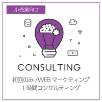 初回のみ/WEBマーケティング1時間コンサルティング