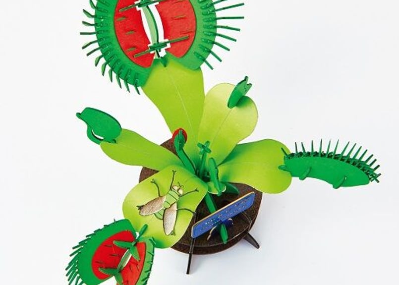 3Dパズル 食虫植物 ハエトリソウ【urano×咲くやコラボ】 | 咲くやこの