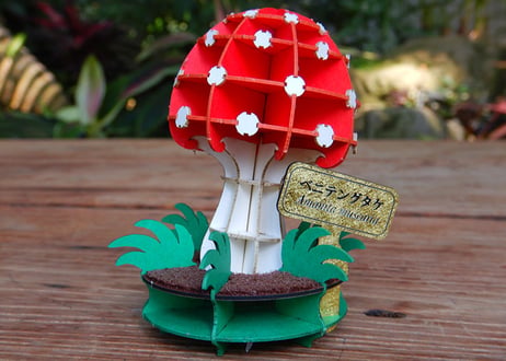 CATEGORY きのこ | 咲くやこの花館オンラインショップ