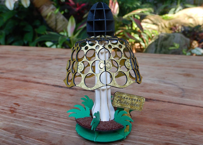 3Dきのこパズル ウスキキヌガサダケ（flare）【urano×咲くやコラボ