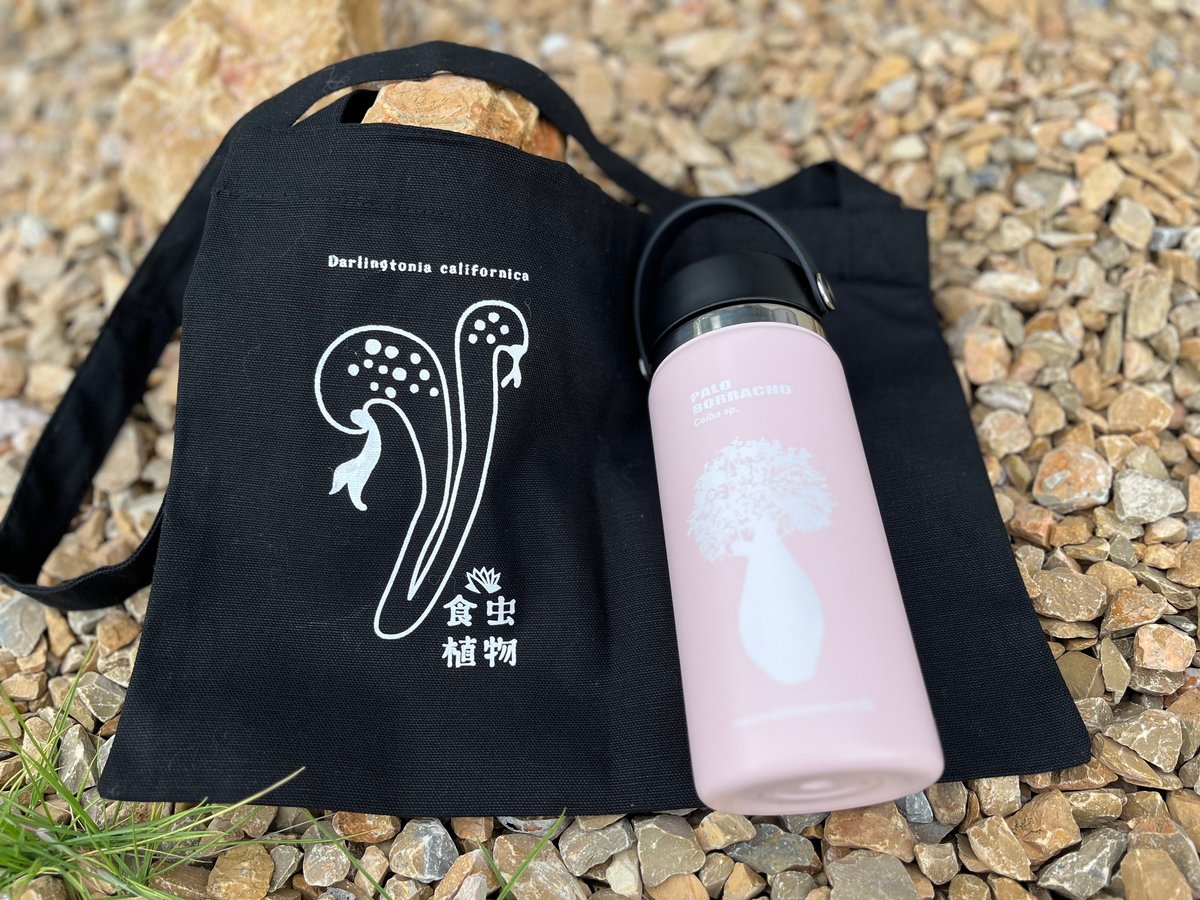 咲くやこの花館×HydroFlask パロボラッチョボトル 16オンス （ホワイト