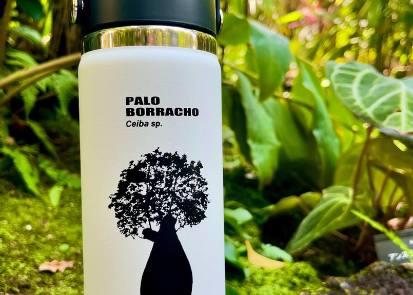 専用＊Jumbo bottleドライフラワーボトル　 クロホオズキ 咲くやこの花館×HydroFlask パロボラッチョボトル 16オンス （ホワイト