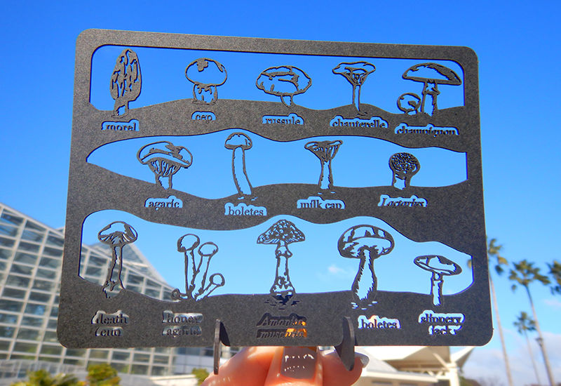 きのこのみ 10th キャンバスアート Kinokonomi きのこのみ10周年記念