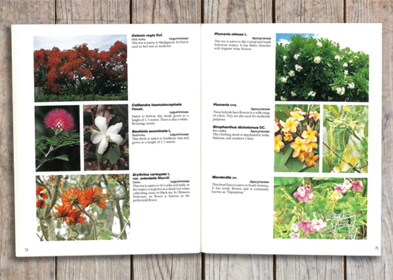 咲くやこの花館ガイドブック 英語版 Sakuya Konohana-kan Guidebook