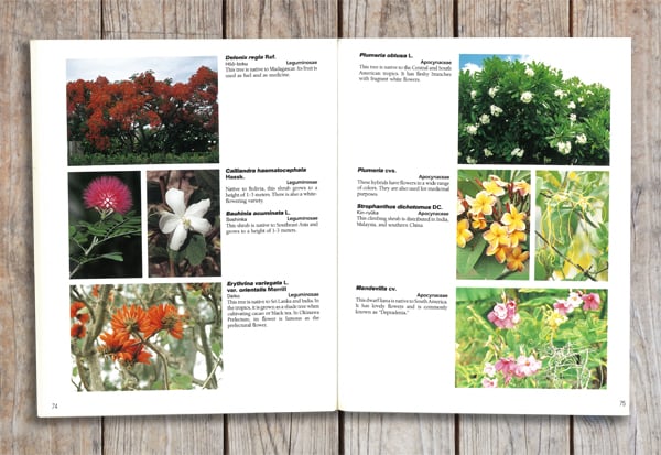 咲くやこの花館ガイドブック 英語版 Sakuya Konohana-kan Guidebook