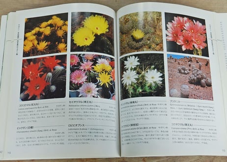 咲くやこの花館ガイドブック