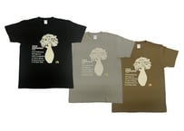 パロボラッチョ Tシャツ　大人サイズ （ブラック・シルバーグレー・オリーブ/S～XL）