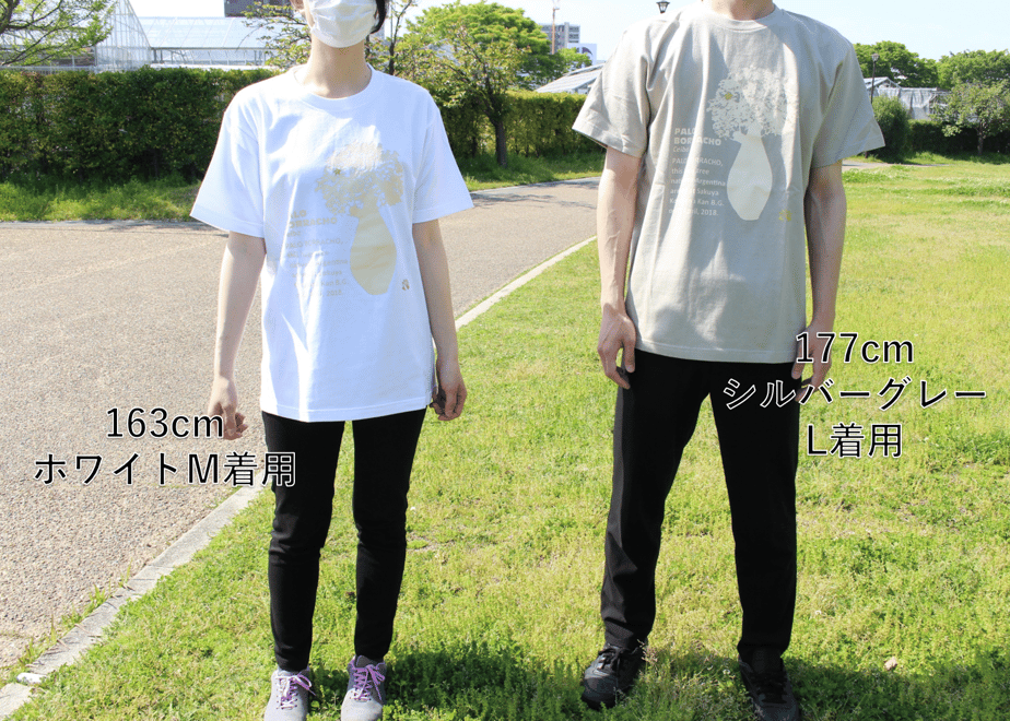 608100dfe70dc46e33967cf9