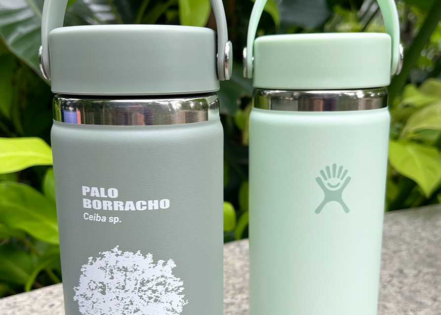 咲くやこの花館×HydroFlask パロボラッチョボトル 16オンス