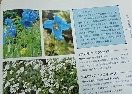 咲くやこの花館ガイドブック