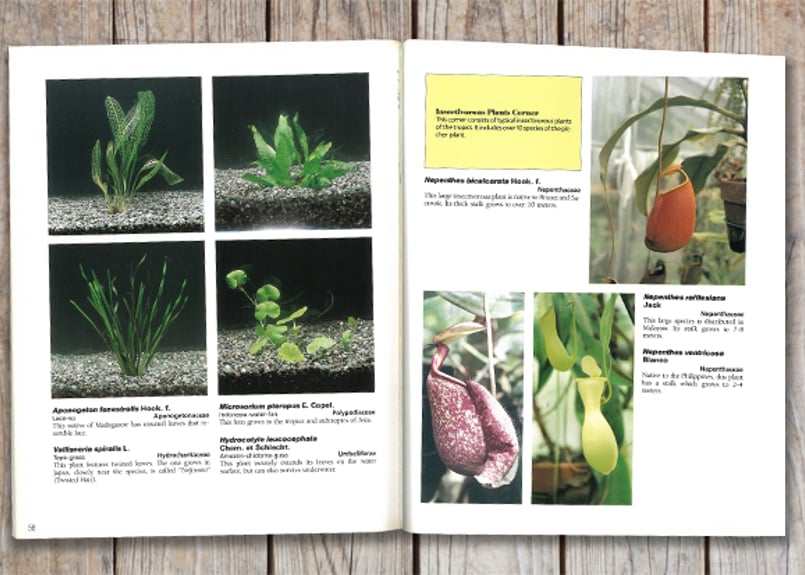 咲くやこの花館ガイドブック 英語版 Sakuya Konohana-kan Guidebook