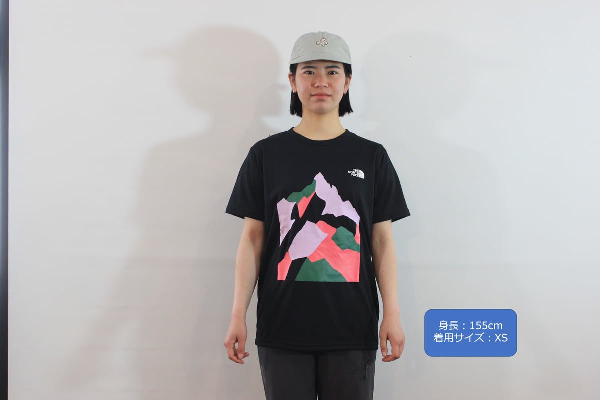 THE NORTH FACE オリジナルTシャツ | Yarigatakesanso ONLI