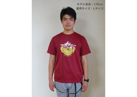 mizuno 槍ロゴTシャツ