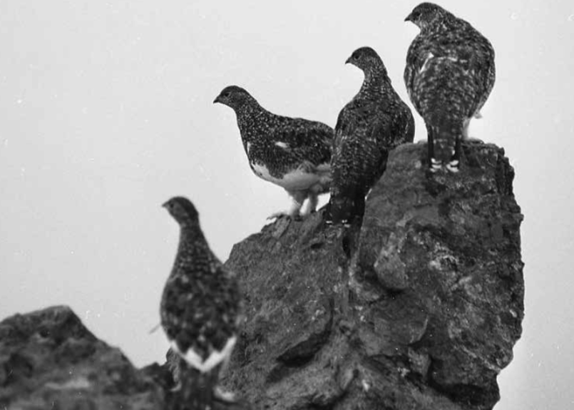 写真集『天空の槍ヶ岳』 | Yarigatakesanso ONLINESHOP