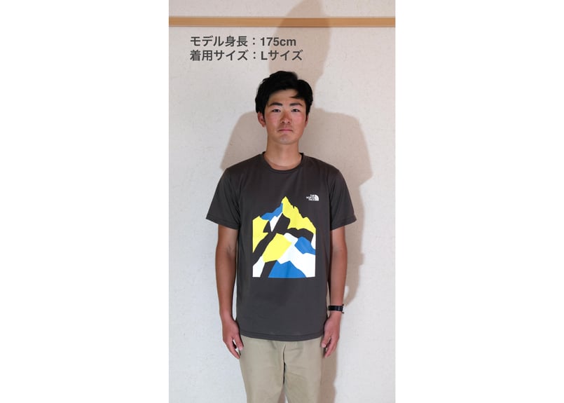 THE NORTH FACE オリジナルTシャツ | Yarigatakesanso ONLI...