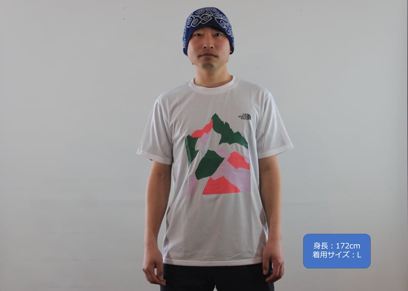THE NORTH FACE - THE NORTH FACE×五竜山荘　Tシャツ　希少品 THE NORTH FACE - THE NORTH FACE×五竜山荘 Tシャツ 希少品の