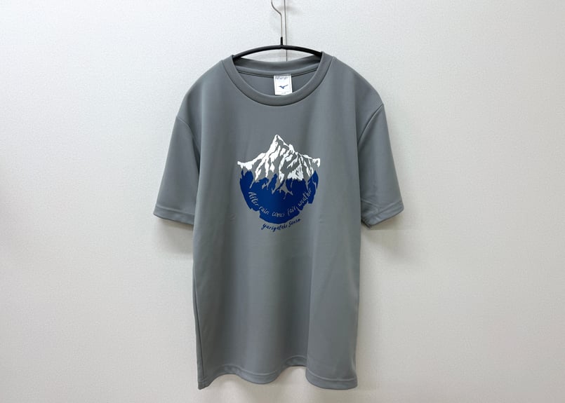 ロゴTシャツ☆ 仮面ライダーZX「パーフェクトサイボーグ」Tシャツ