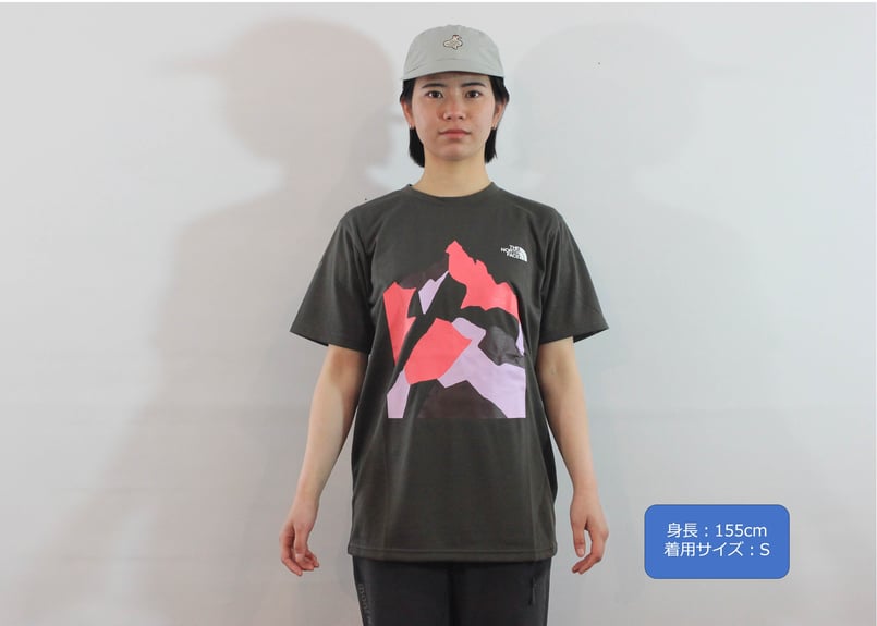 【超レア!!】THE NORTH FACE Tシャツ 非売品　[店舗限定モデル] ☆海外限定*The North Face*新作*Stickers Tシャツ/BLACK☆ (THE NORTH