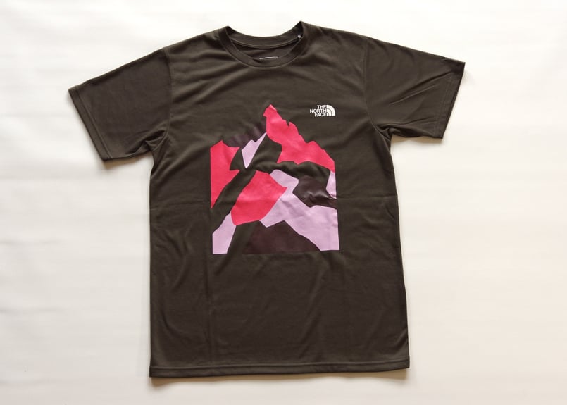 THE NORTH FACE オリジナルTシャツ | Yarigatakesanso ONLI