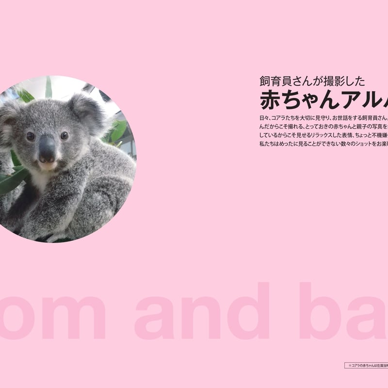 コアラの子供が緑のウンチを食べる理由: 知られざる野生の王国 (青春文庫 コアラの子供が緑のウンチを食べる理由: 知られざる野生の王国