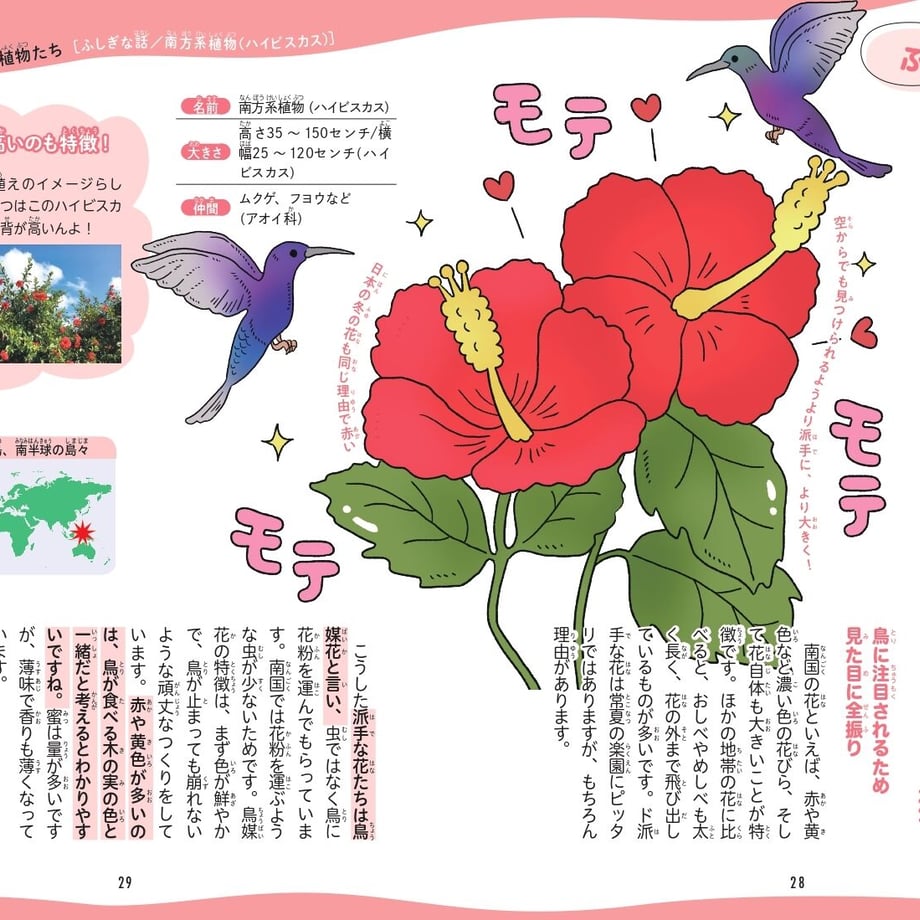 60235a0b6e84d54bcc445cd4