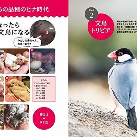にっぽん文鳥絵巻