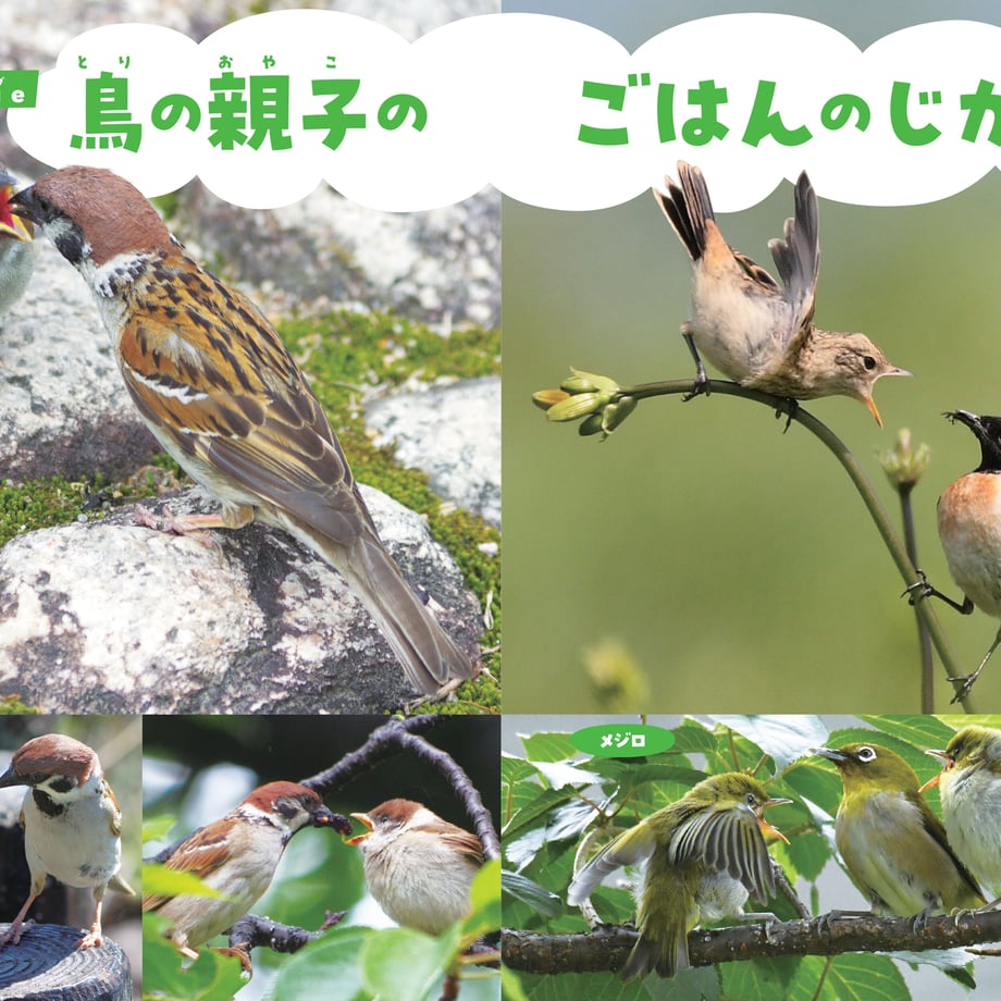641ab669d356f7002b719daf