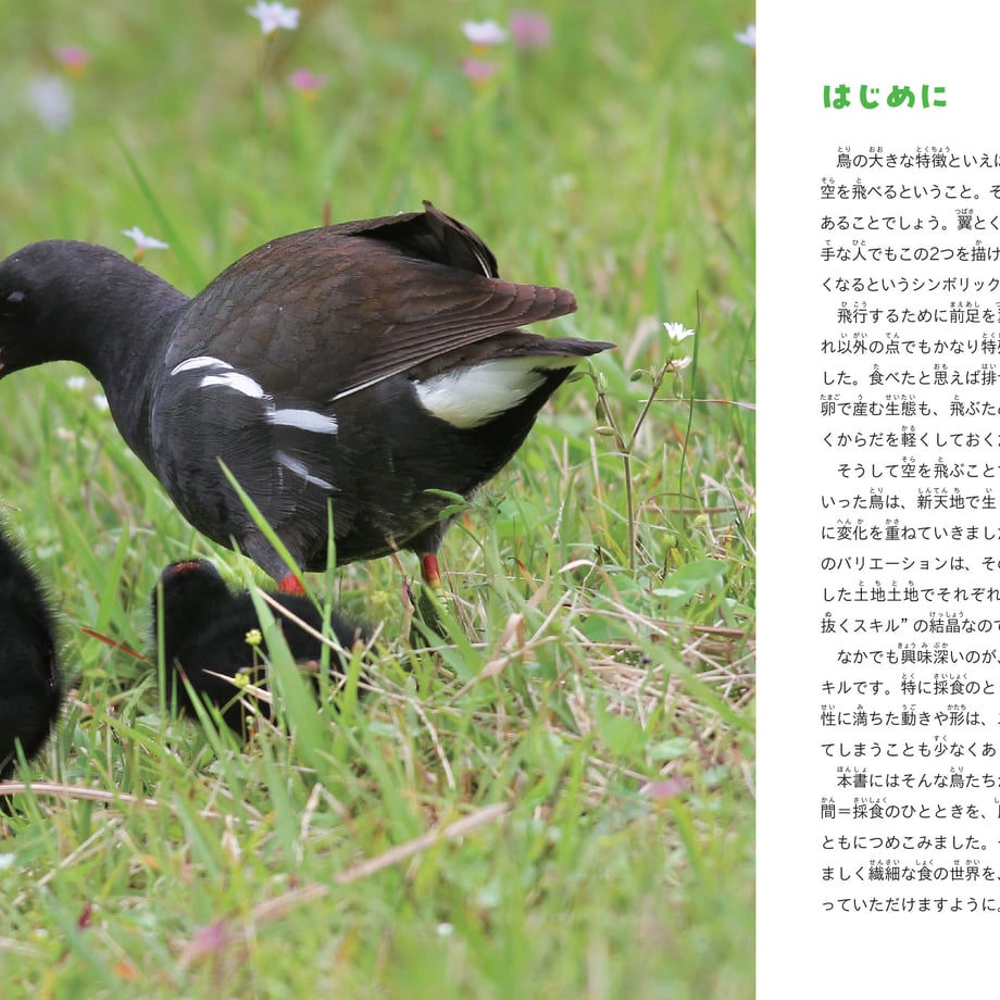 641ab669d356f7002b719daf