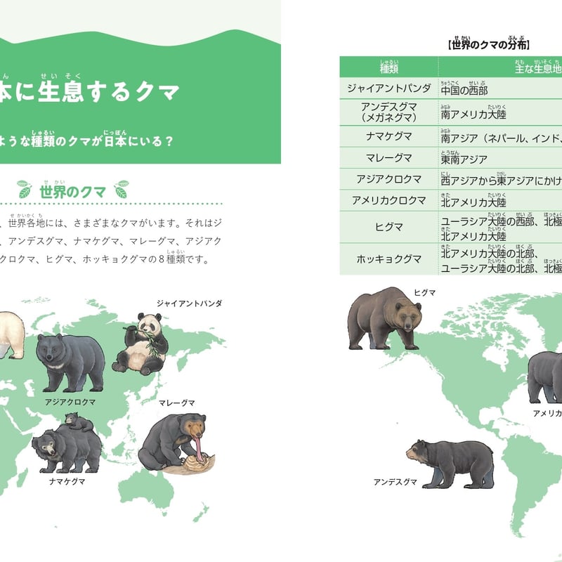 にっぽんのクマ | カンゼンWEBショップ