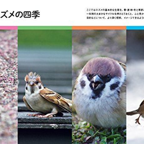 にっぽんスズメしぐさ