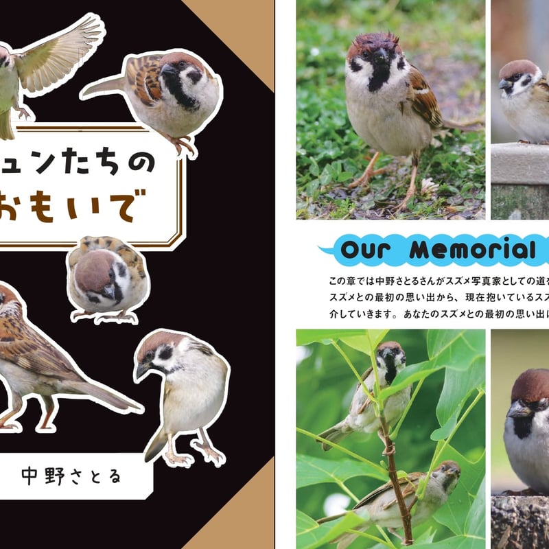 にっぽんスズメ日誌 | カンゼンWEBショップ